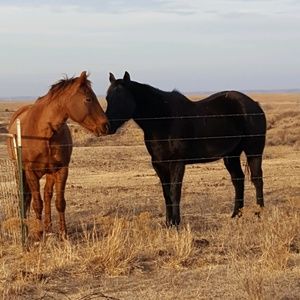 Meet your Posher, Cheeyl